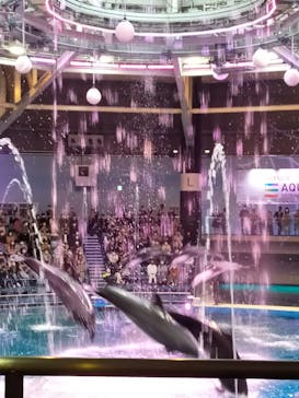 マクセル アクアパーク品川に投稿された画像（2022/3/20）
