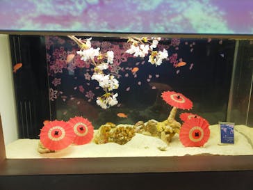 マクセル アクアパーク品川に投稿された画像（2022/3/20）