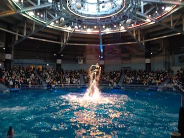 マクセル アクアパーク品川に投稿された画像（2022/3/20）