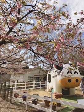 成田ゆめ牧場に投稿された画像（2022/3/20）