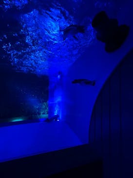 サンシャイン水族館に投稿された画像（2022/3/20）