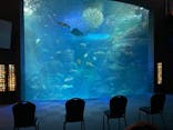 新江ノ島水族館に投稿された画像（2022/3/20）
