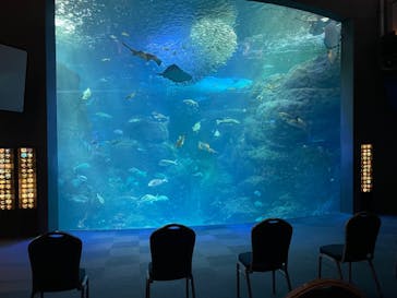新江ノ島水族館に投稿された画像（2022/3/20）