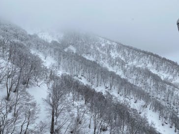 Hakuba47ウィンタースポーツパークに投稿された画像（2022/3/20）