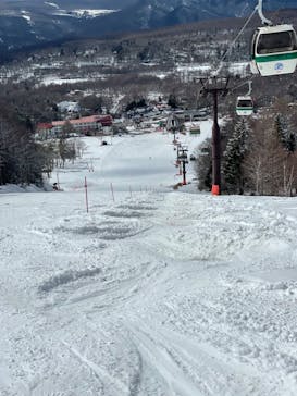 白樺高原国際スキー場に投稿された画像（2022/3/20）