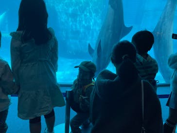 名古屋港水族館に投稿された画像（2022/3/20）