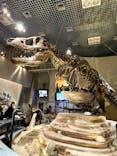 国立科学博物館に投稿された画像（2022/3/20）