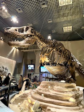 国立科学博物館に投稿された画像（2022/3/20）