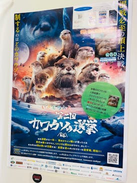 ゼロ距離水族館 伊勢シーパラダイスに投稿された画像（2022/3/20）