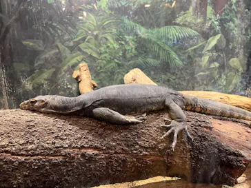 天王寺動物園に投稿された画像（2022/3/20）