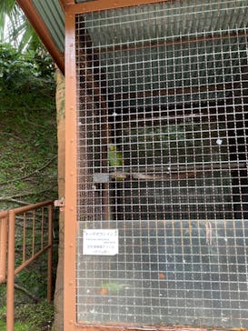 熱川バナナワニ園に投稿された画像（2022/3/20）