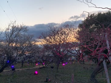 せんだい農業園芸センター　みどりの杜に投稿された画像（2022/3/20）