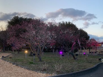 せんだい農業園芸センター　みどりの杜に投稿された画像（2022/3/20）