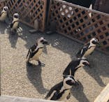 名古屋港水族館に投稿された画像（2022/3/20）