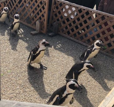 名古屋港水族館に投稿された画像（2022/3/20）