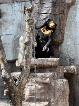 天王寺動物園に投稿された画像（2022/3/20）