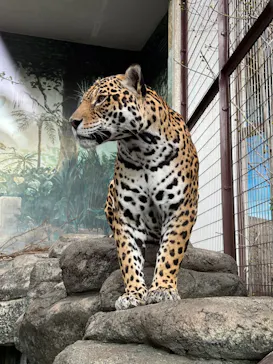 天王寺動物園に投稿された画像（2022/3/20）