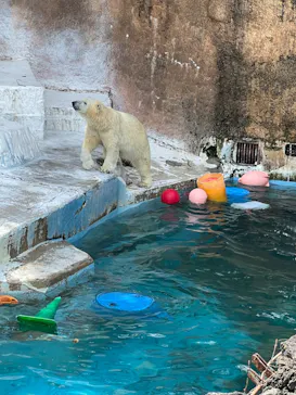 天王寺動物園に投稿された画像（2022/3/20）