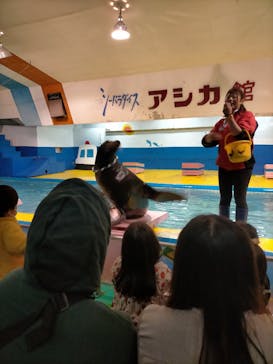 ゼロ距離水族館 伊勢シーパラダイスに投稿された画像（2022/3/20）