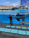 名古屋港水族館に投稿された画像（2022/3/20）