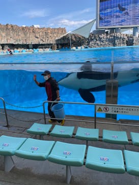 名古屋港水族館に投稿された画像（2022/3/20）