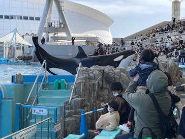 名古屋港水族館に投稿された画像（2022/3/20）