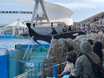 名古屋港水族館に投稿された画像（2022/3/20）