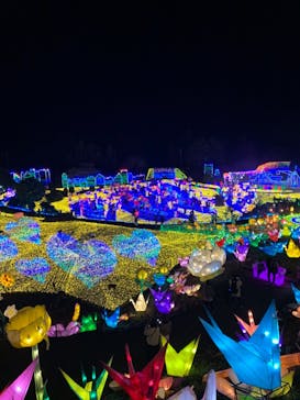 伊豆ぐらんぱる公園に投稿された画像（2022/3/20）