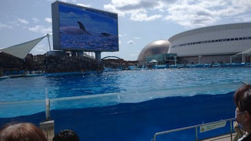 名古屋港水族館に投稿された画像（2022/3/20）