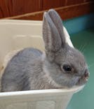 東武動物公園に投稿された画像（2022/3/20）