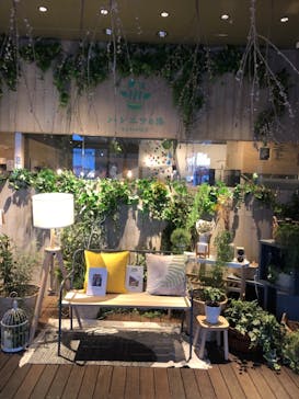 おふろcafé ハレニワの湯に投稿された画像（2022/3/20）