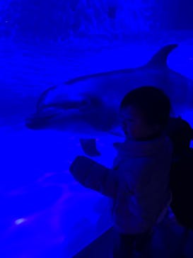 アクアワールド茨城県大洗水族館に投稿された画像（2022/3/20）