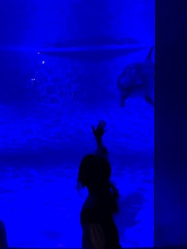 アクアワールド茨城県大洗水族館に投稿された画像（2022/3/20）