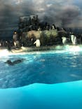 名古屋港水族館に投稿された画像（2022/3/20）