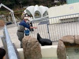大分マリーンパレス水族館 「うみたまご」に投稿された画像（2022/3/20）