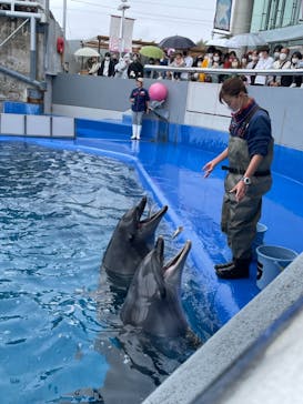 大分マリーンパレス水族館 「うみたまご」に投稿された画像（2022/3/20）