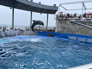 大分マリーンパレス水族館 「うみたまご」に投稿された画像（2022/3/20）