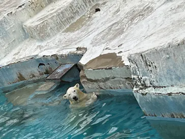 天王寺動物園に投稿された画像（2022/3/20）