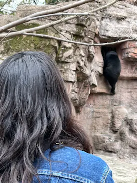 天王寺動物園に投稿された画像（2022/3/20）
