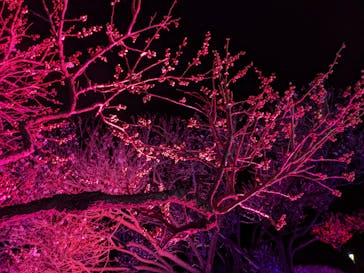 せんだい農業園芸センター　みどりの杜に投稿された画像（2022/3/20）