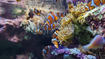 サンシャイン水族館に投稿された画像（2022/3/20）