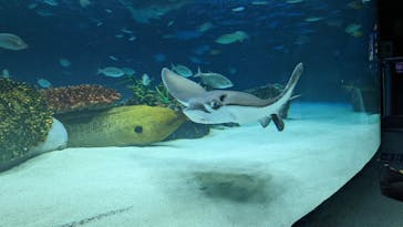 サンシャイン水族館に投稿された画像（2022/3/20）