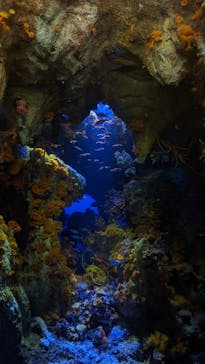 サンシャイン水族館に投稿された画像（2022/3/20）