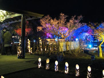 せんだい農業園芸センター　みどりの杜に投稿された画像（2022/3/20）