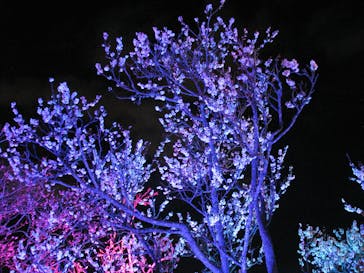 せんだい農業園芸センター　みどりの杜に投稿された画像（2022/3/20）