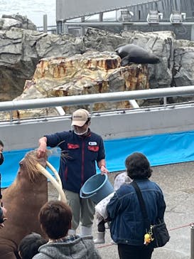 大分マリーンパレス水族館 「うみたまご」に投稿された画像（2022/3/20）