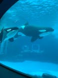 名古屋港水族館に投稿された画像（2022/3/20）