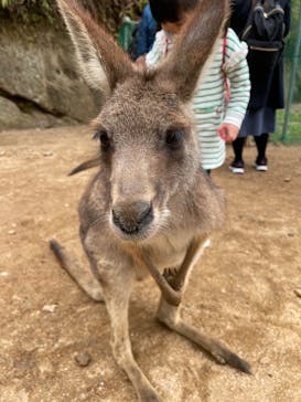 長崎バイオパークに投稿された画像（2022/3/20）