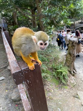 長崎バイオパークに投稿された画像（2022/3/20）