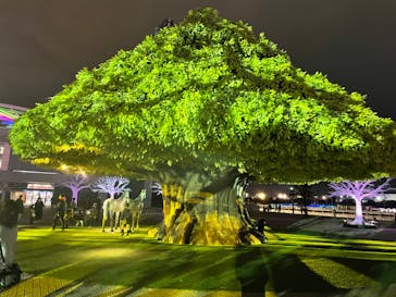 東京メガイルミに投稿された画像（2022/3/20）